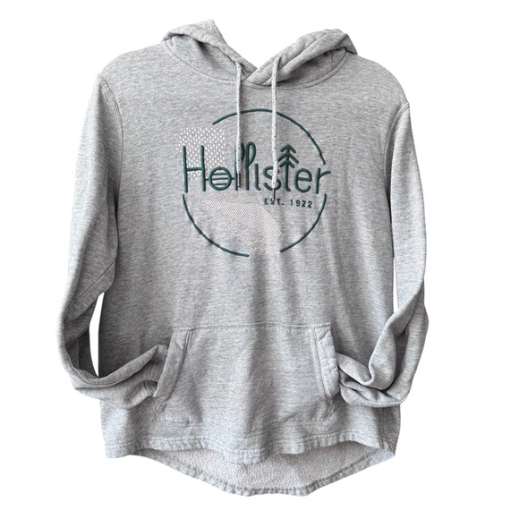 Hollister Other - Hollister Gray Hoodie with Embroidered Graphic in Dk‎ Green Stitching, Small